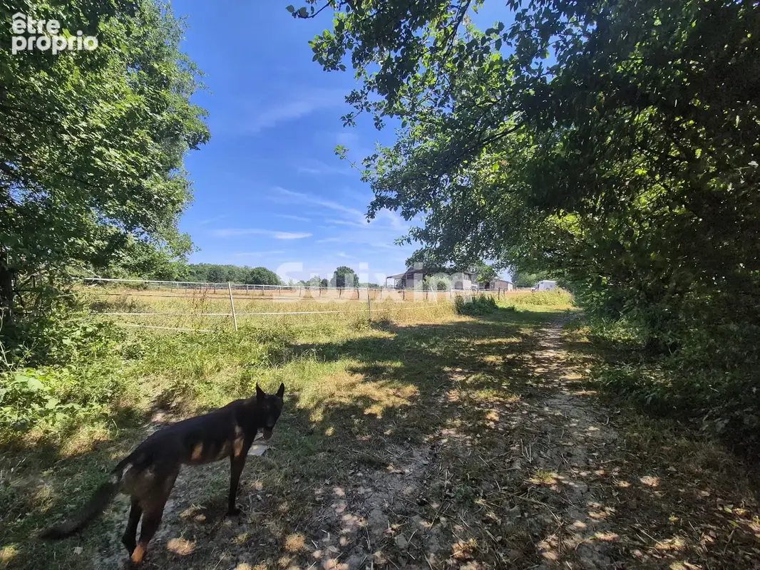 Propriété équestre  à Crux-la-Ville - photo 10
