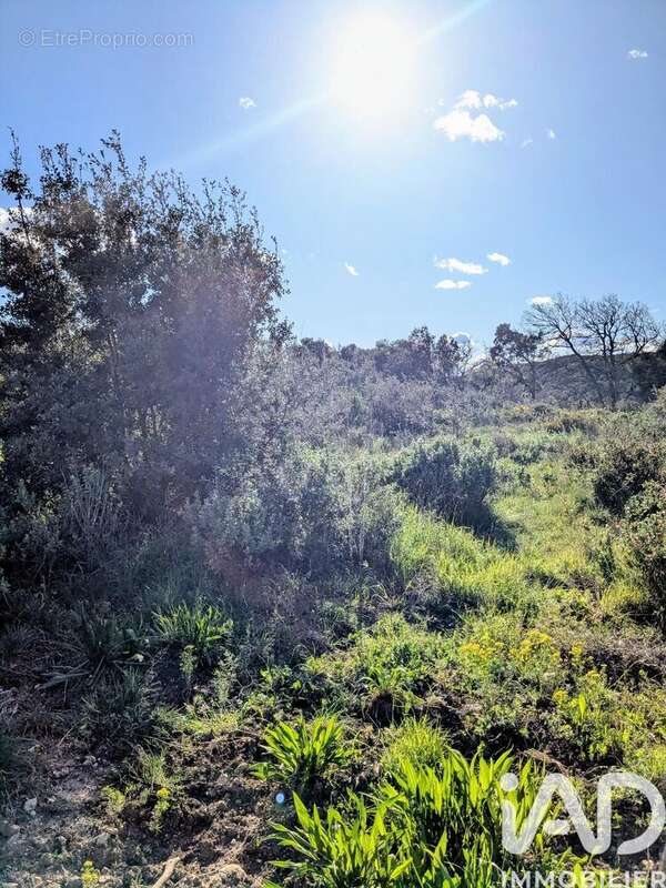 Photo 3 - Terrain à CASTILLON-DU-GARD