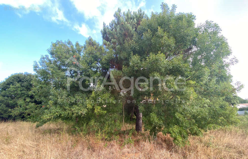 Terrain à SAINT-PALAIS-SUR-MER