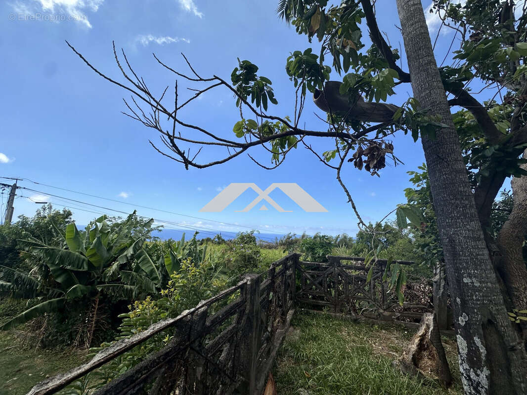 Maison à SAINT-JOSEPH