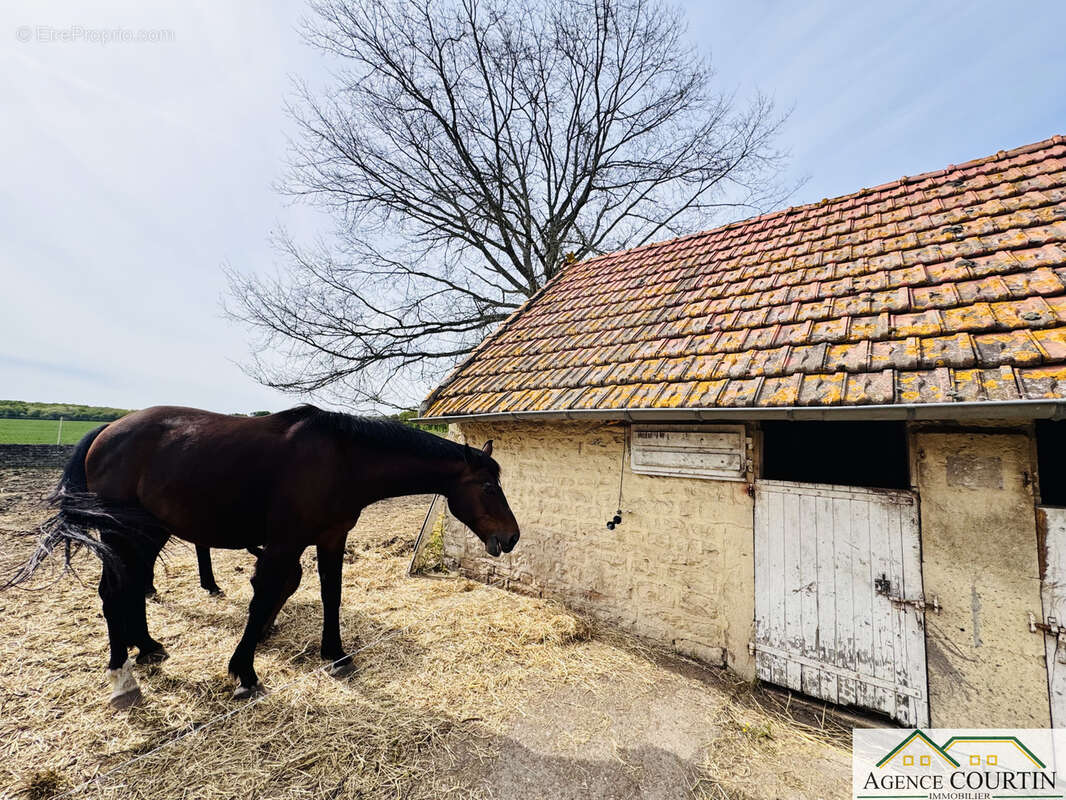 Maison à SAINT-AMBREUIL