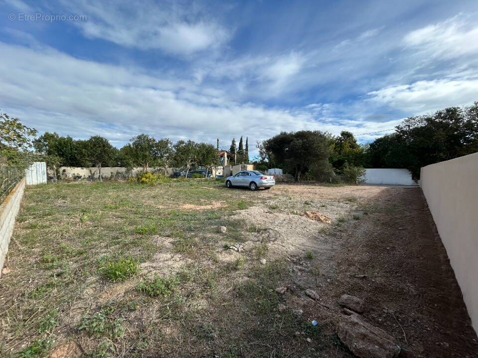 Terrain à MARSEILLAN