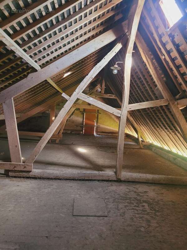 Maison 300 m² à Daubeuf-La-Campagne  - photo 3