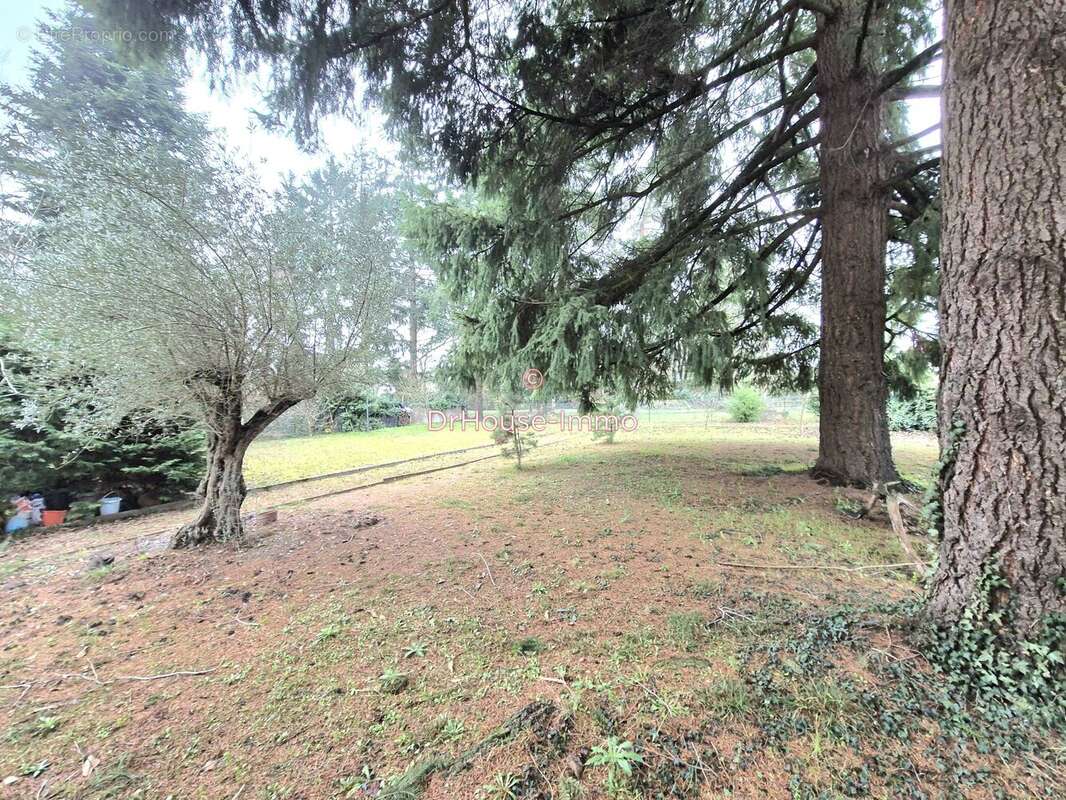 Maison à SENNECEY-LE-GRAND