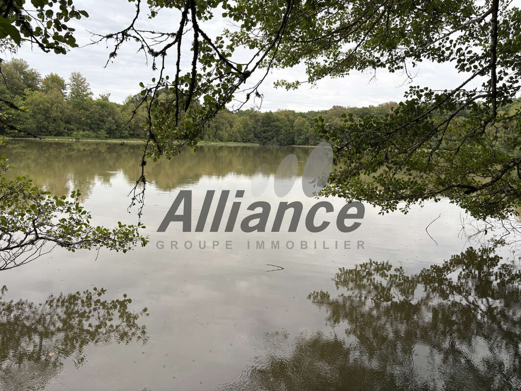 Etang  de  7  ha  50  d eau  entre  luxeuil  et  lure  avec  cabane  de  pecheur - photo 7