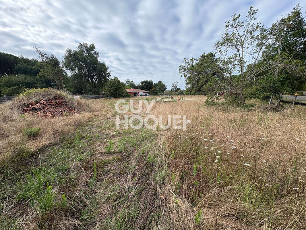 Terrain de 1435 m² avec permis de construire - photo 2
