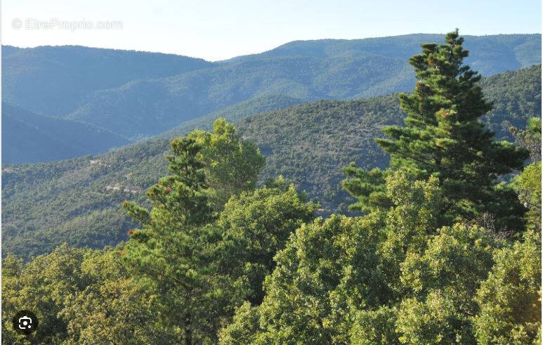 Terrain à BORMES-LES-MIMOSAS