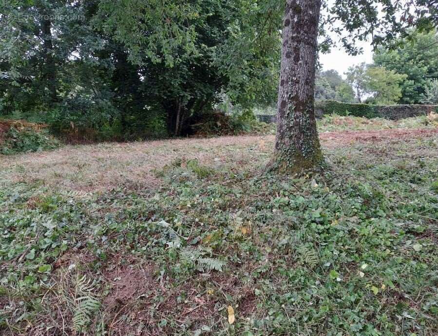 // A SAISIR // Terrain constructible et viabilisé Les Monts d'Andaine 860 m2 - photo 4