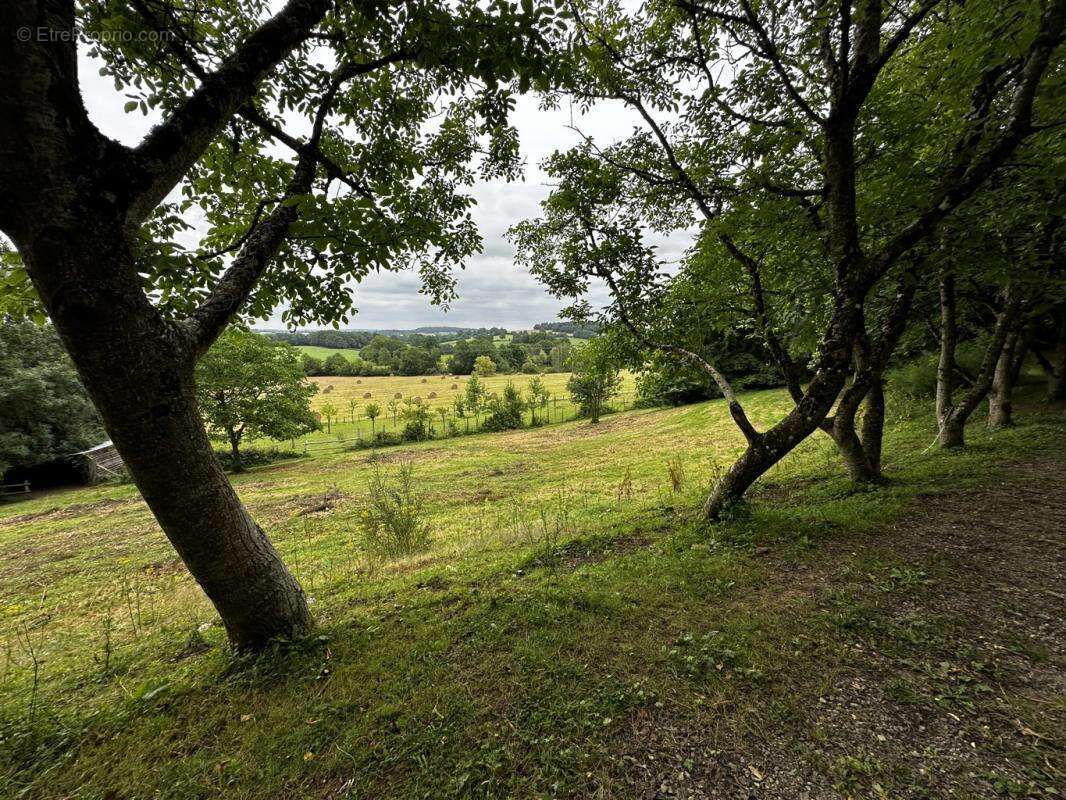 Terrain à SAINT-CYR-LA-ROSIERE