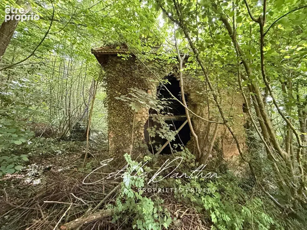 Terrain constructible de 700 m2 avec foret de 6000m2 - photo 2