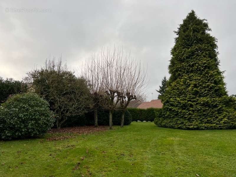 Terrain à SAINT-CREPIN-IBOUVILLERS