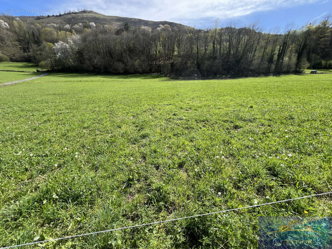Terrain à CHEUST