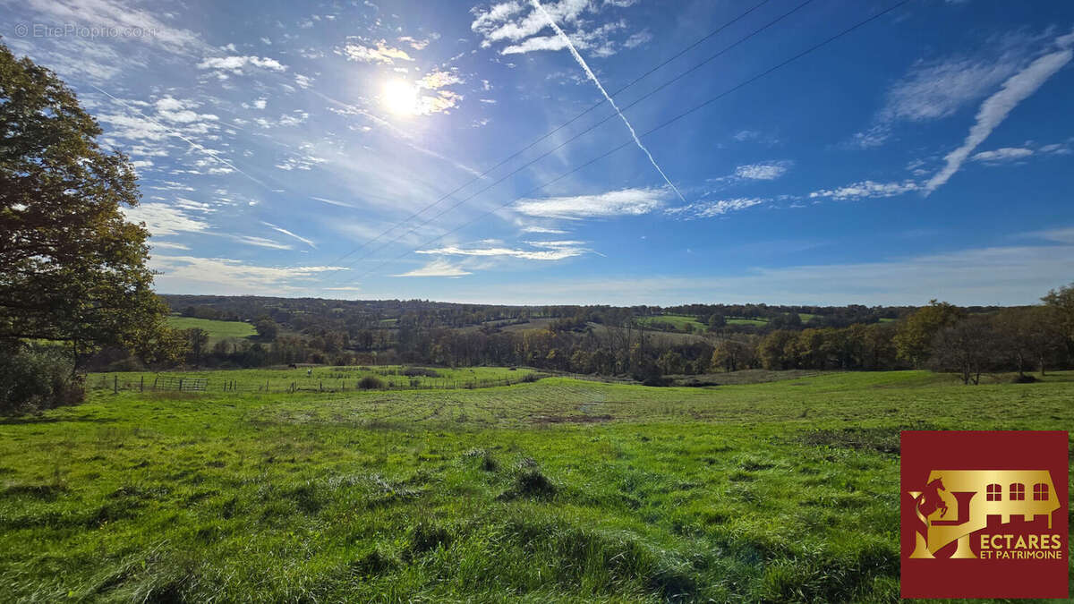 ANCIEN MONASTERE de 214 m2 sur 50 ha - Idéal élevage chevaux - photo 5