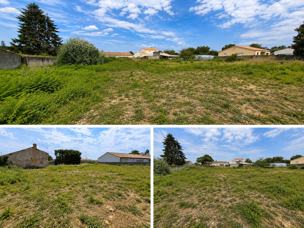 Terrain à SAINTE-GEMME-LA-PLAINE