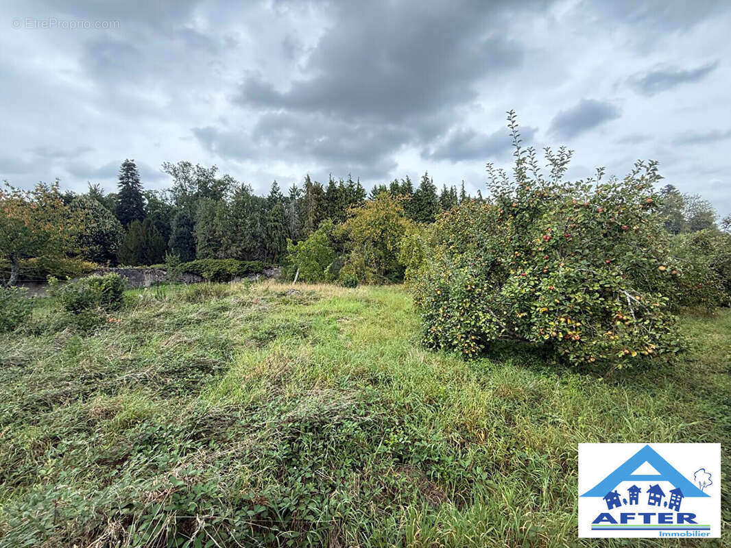 Terrain à GERBEVILLER