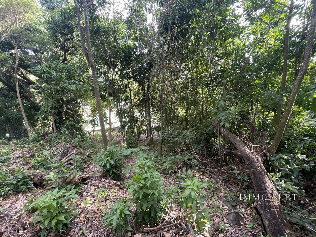 Terrain à GOURBEYRE