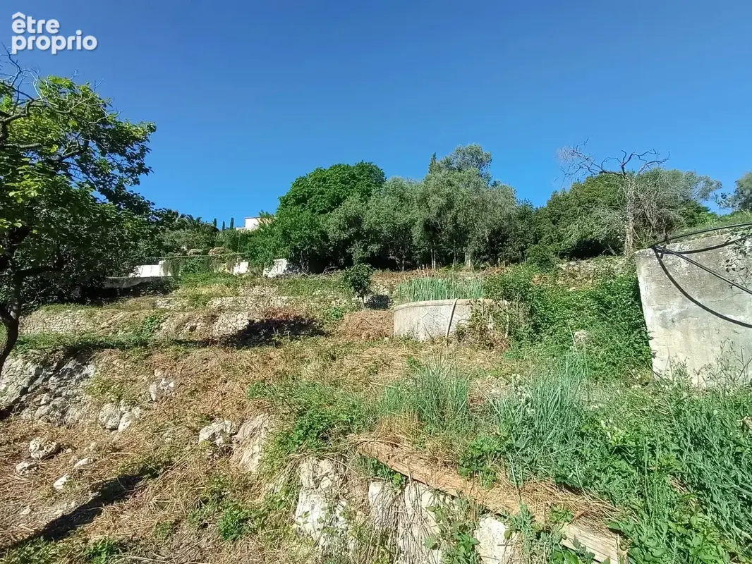 Dernière opportunité ! Terrain 932m² Vallauris limite Super Cannes - Plein Sud Aperçu Mer - photo 3