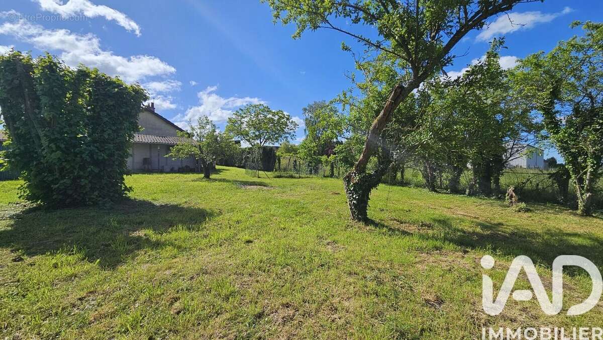 Photo 3 - Maison à LA FERTE-GAUCHER