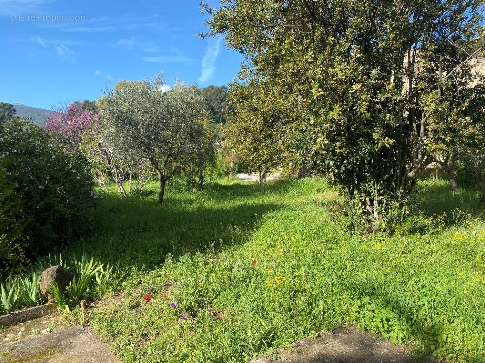 Terrain à OLLIOULES