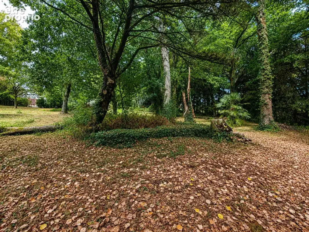 LE TREVOUX - Propriété en pierre avec maison principale, gîte indépendant et dépendances sur près d’un hectare - photo 28