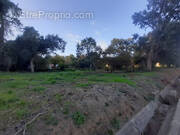 Terrain à SAN-NICOLAO