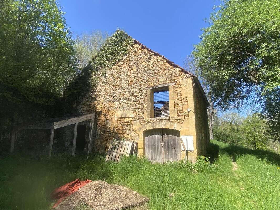 Grange - Maison à LES EYZIES-DE-TAYAC-SIREUIL