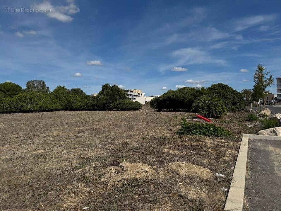 Terrain à MARSILLARGUES