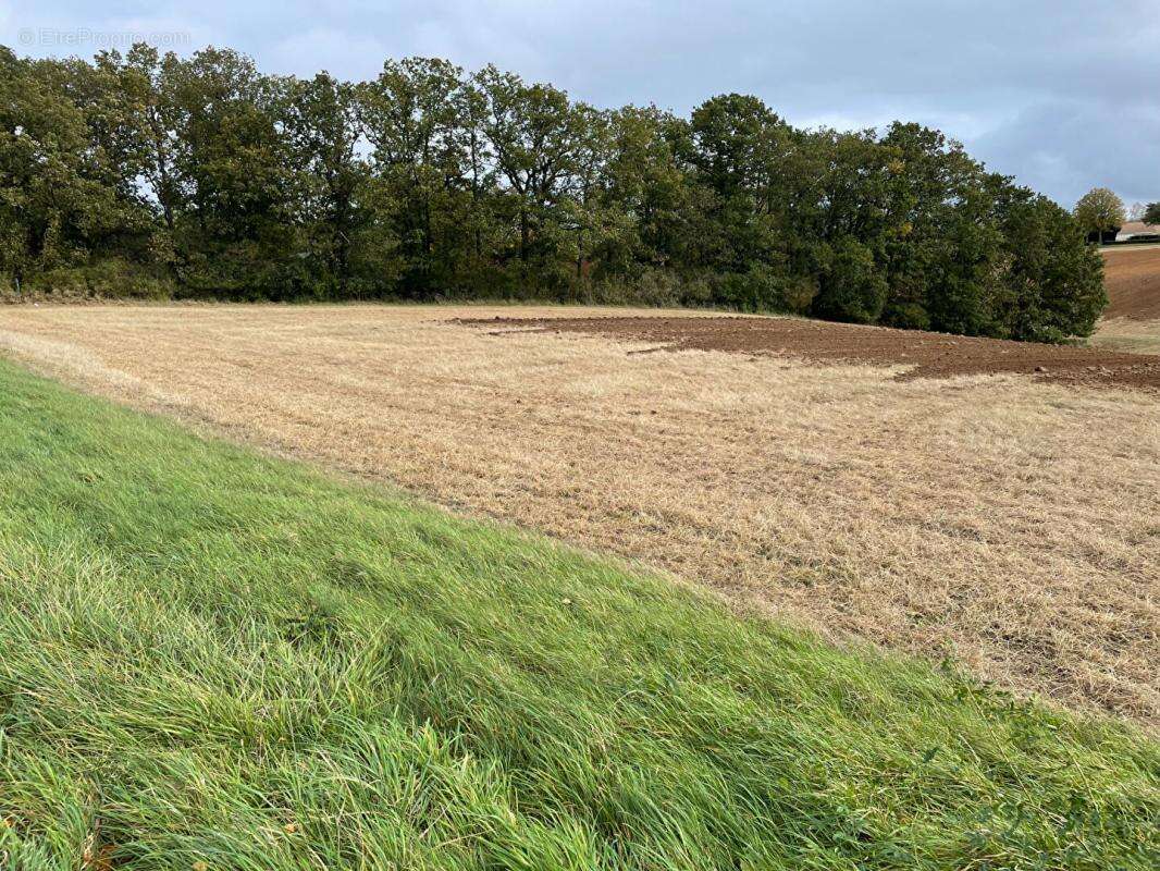 Terrain à MAINTENON