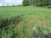 Terrain à CHATEAUNEUF-LA-FORET
