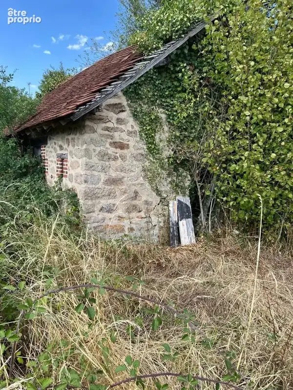 À vendre dans la Creuse : terrain de 1 171 m² avec ruine - photo 2