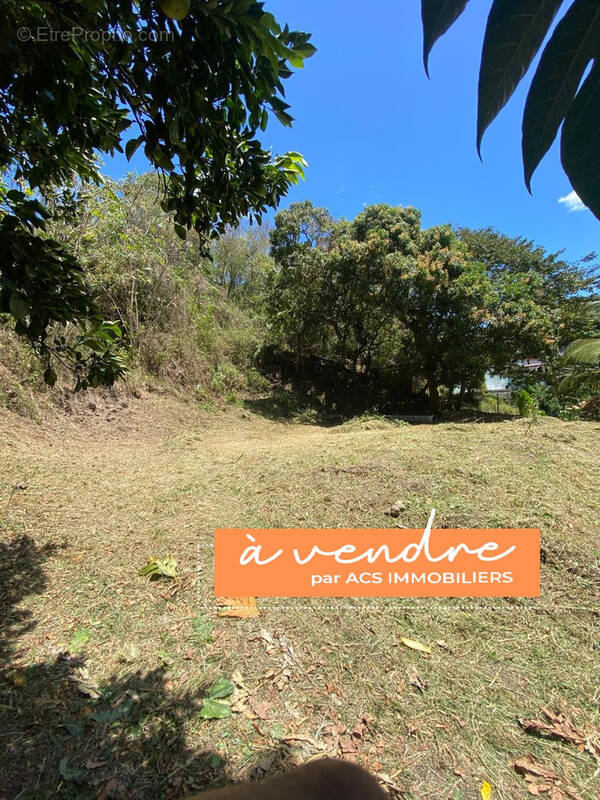 Terrain à LES TROIS-ILETS