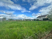 Terrain à MONTBAZENS