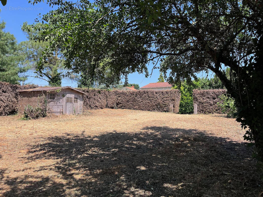 Terrain à SAINT-ETIENNE-DE-BRILLOUET