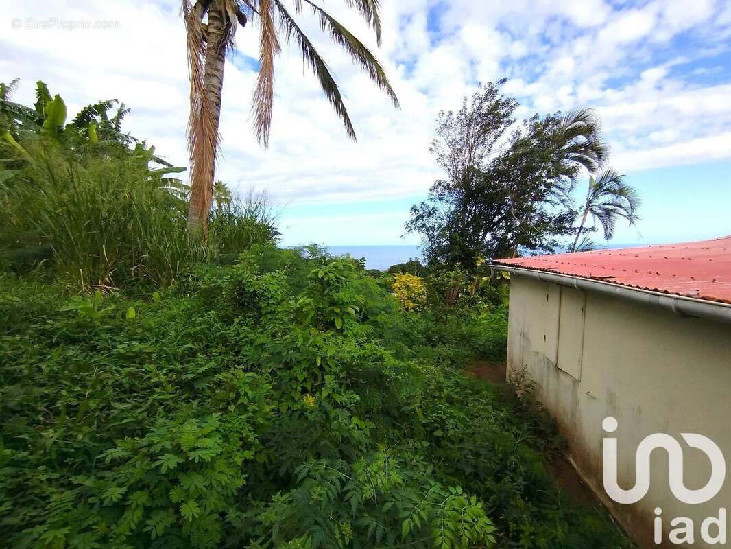 Photo 6 - Maison à SAINT-JOSEPH