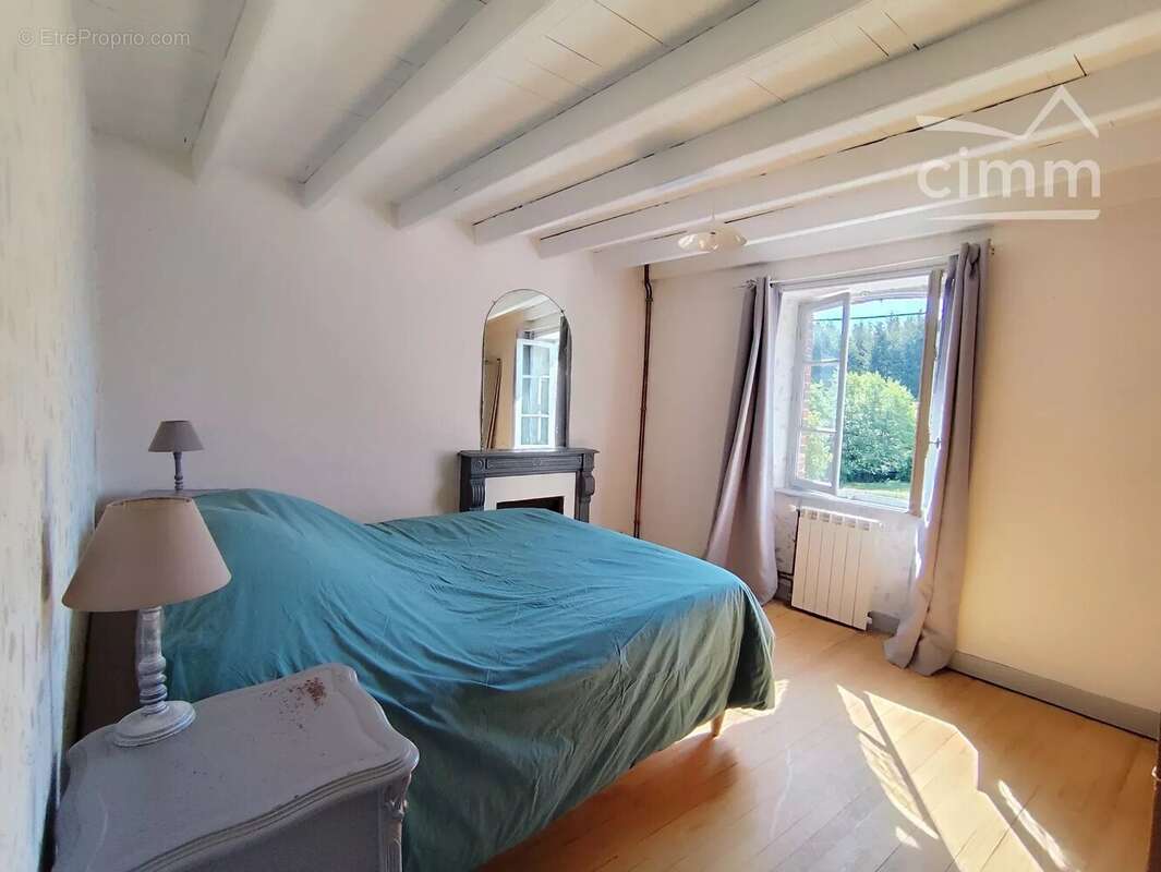 Authentique propriété de caractère avec gîte et 1,2 hectare de terrain à Cunlhat - photo 7