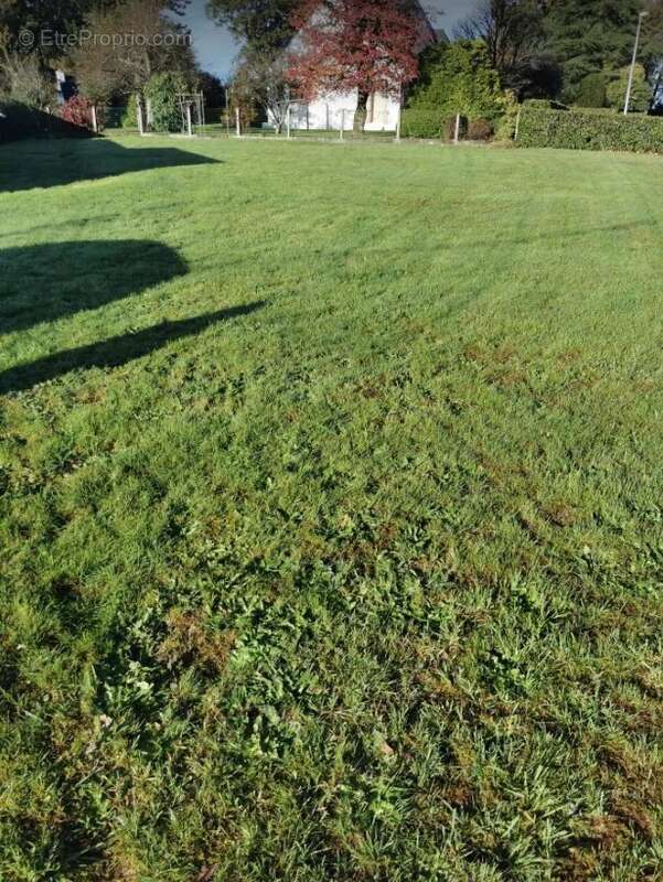 Terrain à PLOURAY