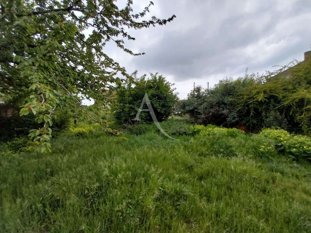 Terrain à LES MUREAUX