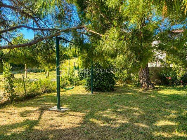 Maison de village - garage - hangars - cave - jardin - piscine - photo 3