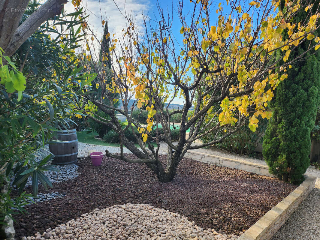 Maison à SAINT-MAXIMIN