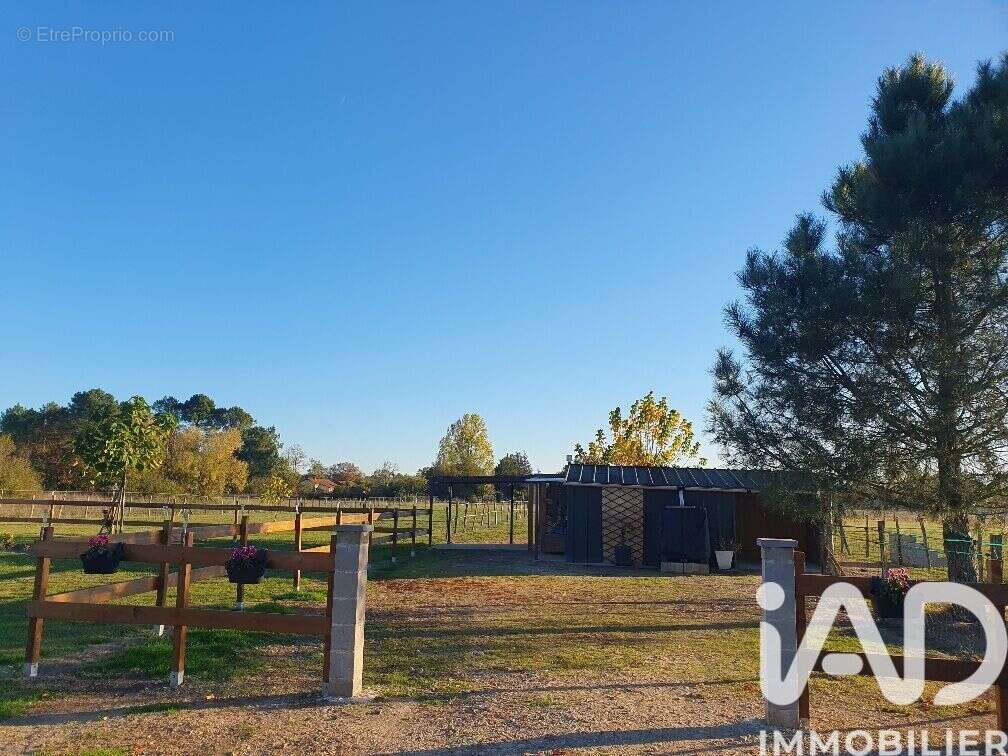 Photo 4 - Maison à LE PIZOU