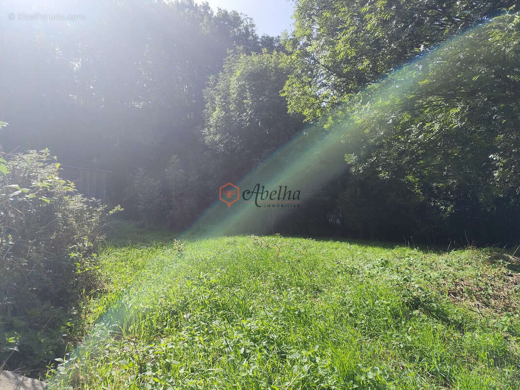 Terrain à ASPRES-LES-CORPS