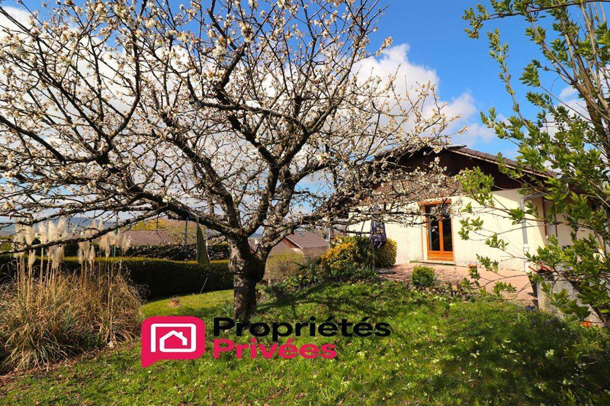 Maison à LA BALME-DE-SILLINGY