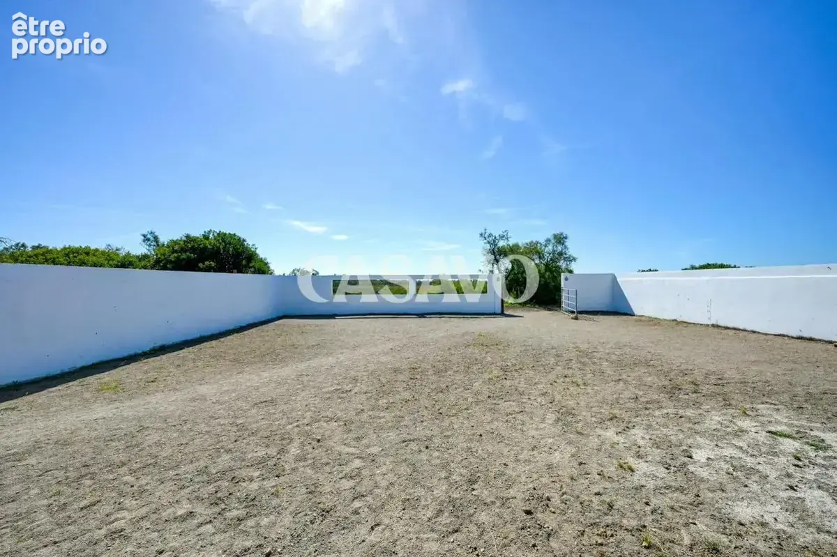 Vente Maison 8 pièces de 300m² - 13460 Saintes-Maries-de-la-Mer - photo 8