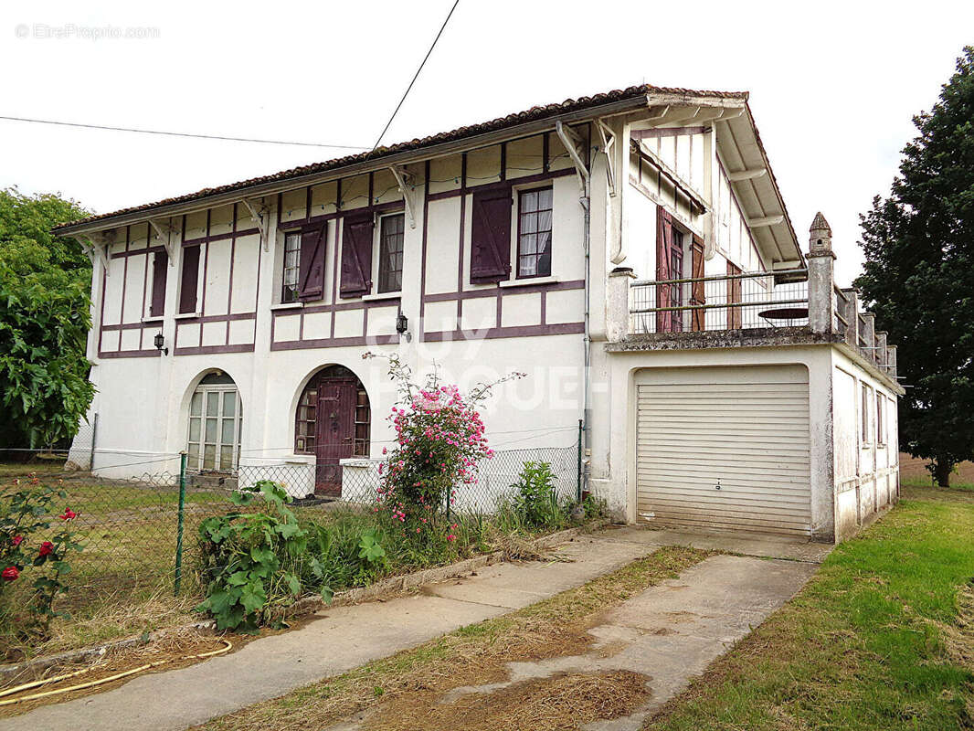 Maison à SENESTIS