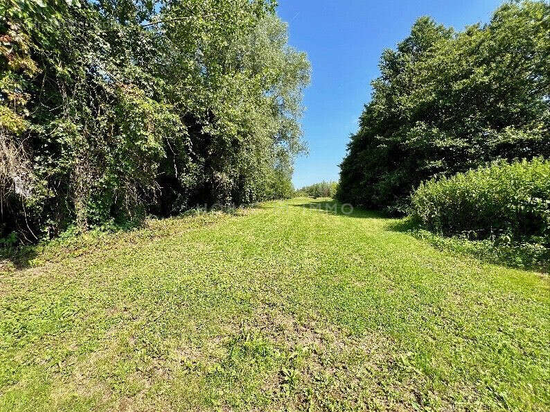 Maison à MONTREVEL-EN-BRESSE