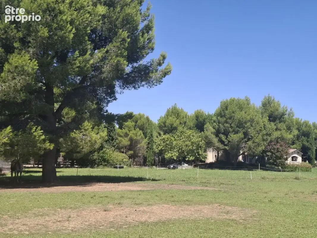 Domaine entre Alpilles et Arles - photo 9
