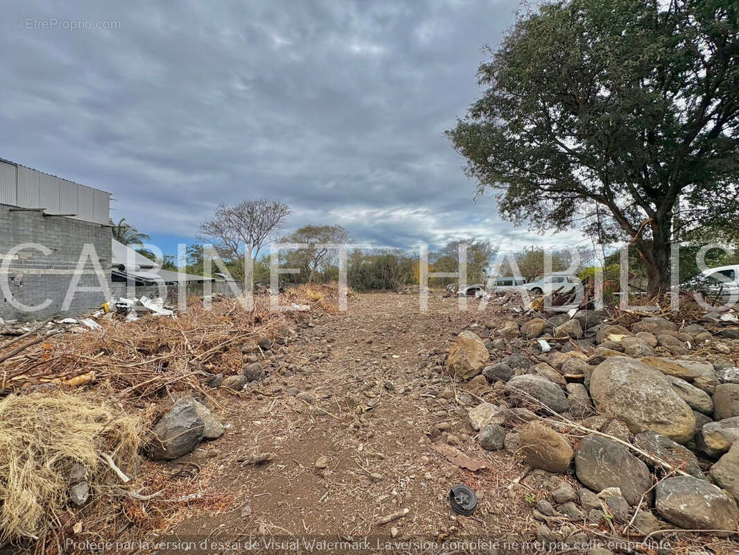 Terrain à SAINT-PIERRE
