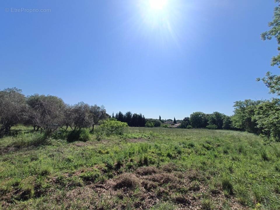 Terrain à PUGET-SUR-ARGENS