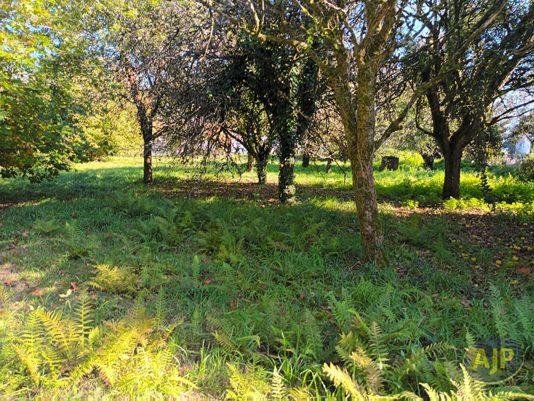 Terrain à QUESTEMBERT