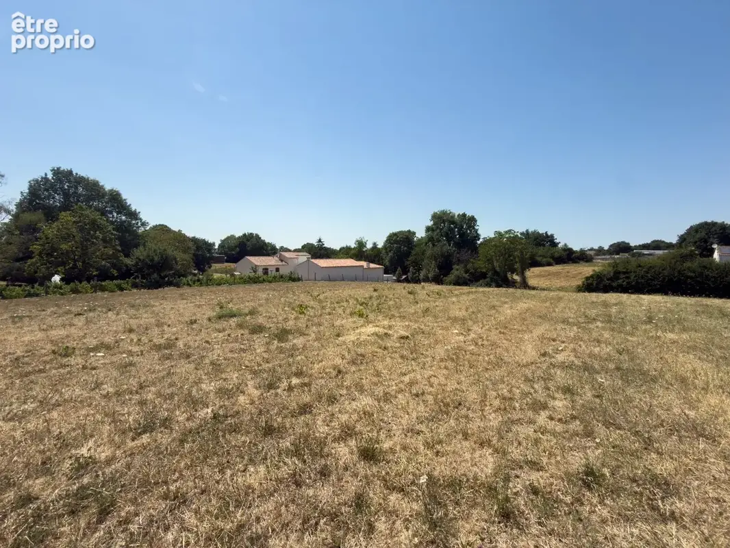 Terrain1